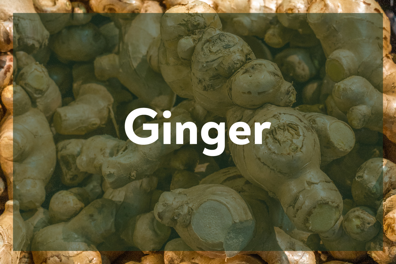 Ginger