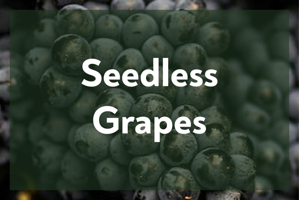 Seedless Grapes