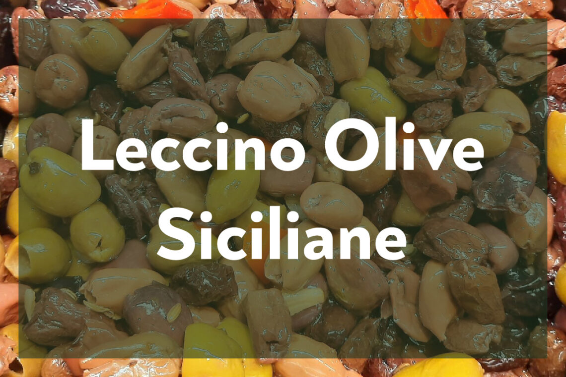 Leccino Olive Siciliane
