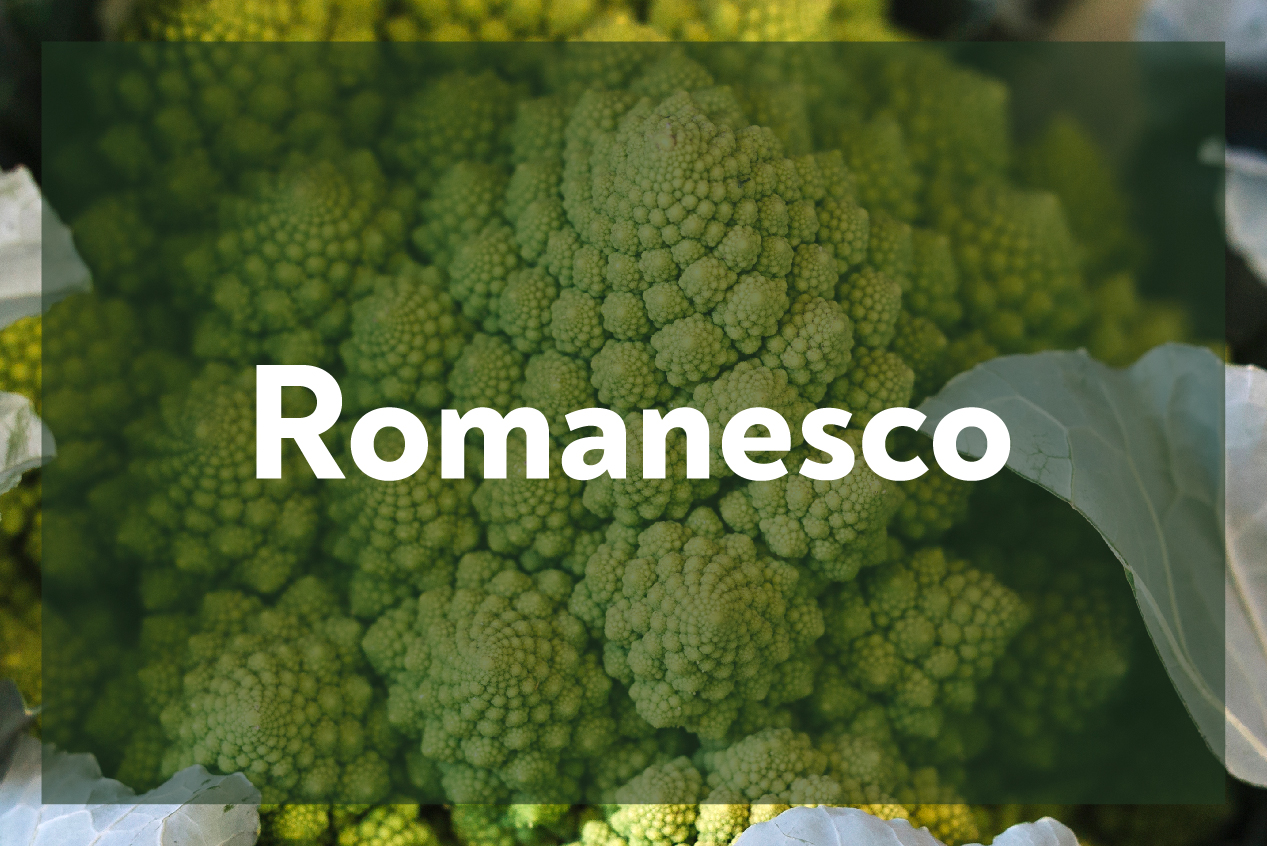 Romanesco
