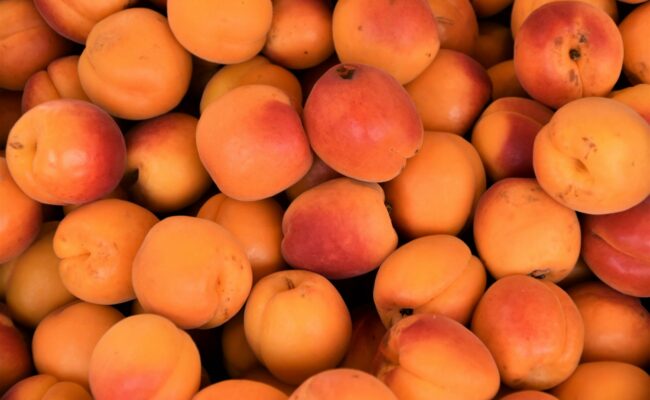 Apricots