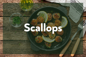 Scallops