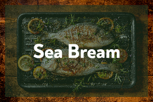 Sea Bream