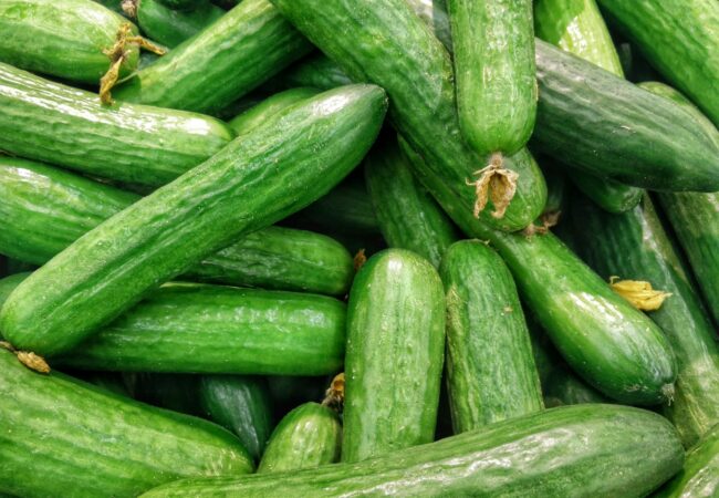 Cucumber