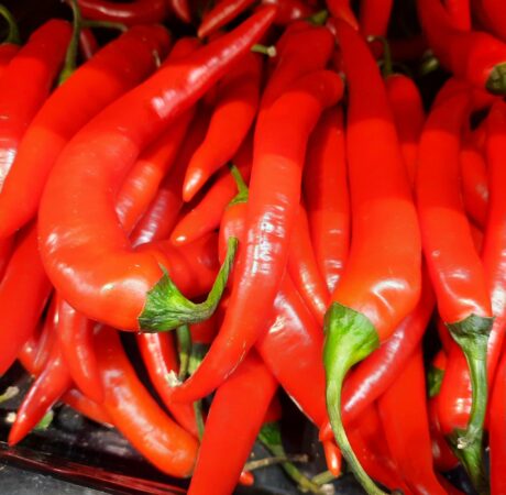 Red Chillies